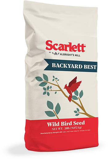 Scarlett Backyard Best Wild Bird Seed